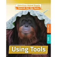 Using Tools - Library Binding
