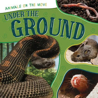 Under the Ground - Library Binding