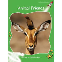 Animal Friends - Paperback