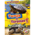 Turtle or Tortoise?
