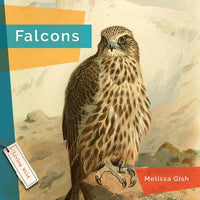 Falcons - Hardcover