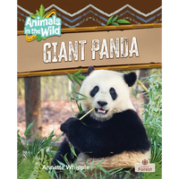 Giant Panda - Paperback