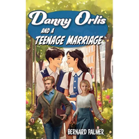 Danny Orlis and a Teenage Marriage - Paperback