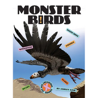Monster Birds - Paperback
