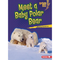 Meet a Baby Polar Bear - Paperback