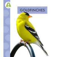 Goldfinches - Paperback