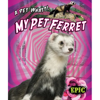 My Pet Ferret - Library Binding