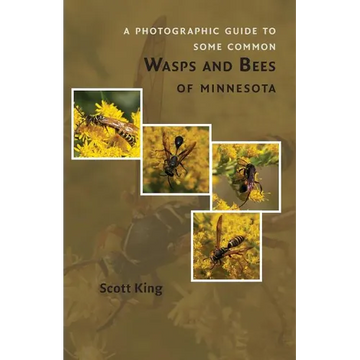 A Photographic Guide to Some Common Wasps and Bees of Minnesota - Paperback