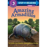 Amazing Armadillos - Paperback