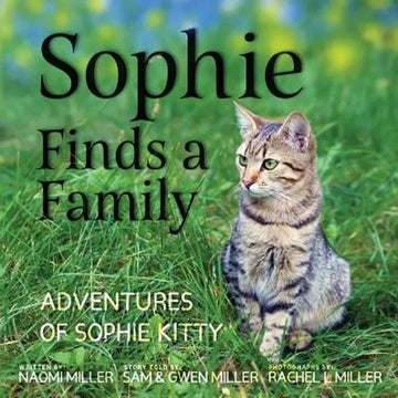 Sophie Finds a Family - Paperback