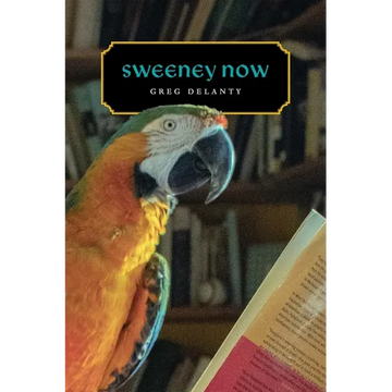 Sweeney Now - Paperback