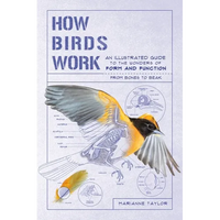 How Birds Work: An Illustrated Guide to the Wonders of Form and Function - From Bones to Beak - Paperback