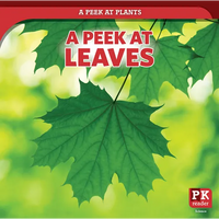 A Peek at Leaves - Paperback