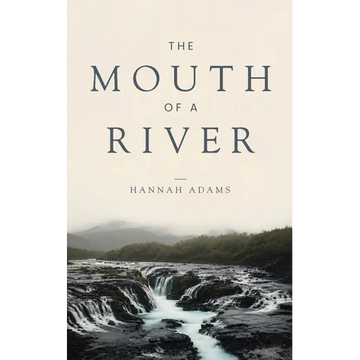 The Mouth of a River - Paperback