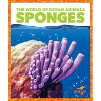 Sponges - Paperback