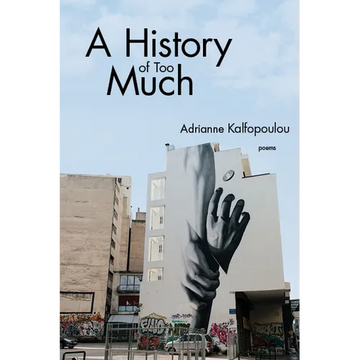 A History of Too Much - Paperback