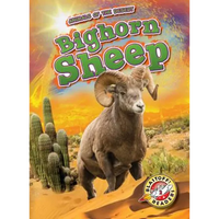 Bighorn Sheep - Library Binding