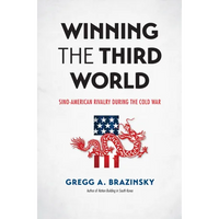 Winning the Third World: Sino-American Rivalry During the Cold War - Paperback