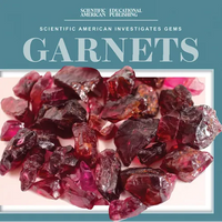 Garnets - Library Binding