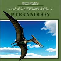 Pteranodon - Paperback
