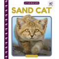 Sand Cat