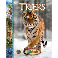 Tigers - Library Binding