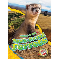 Black-Footed Ferrets - Library Binding