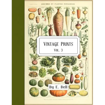Vintage Prints: Vol. 3 - Paperback