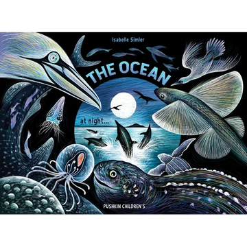 The Ocean at Night - Hardcover