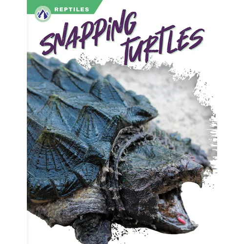 Snapping Turtles