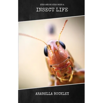 Insect Life - Paperback