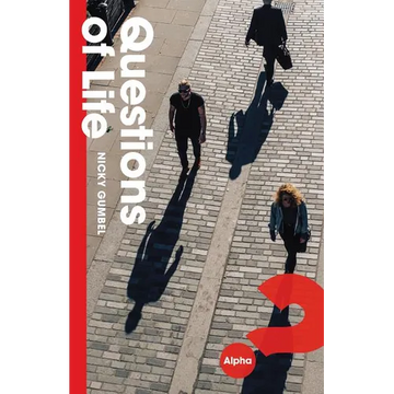 Questions of Life - Paperback