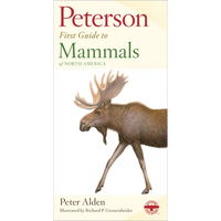 Peterson First Guide to Mammals of North America - Paperback