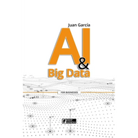 AI & Big Data: Transforming Data into Knowledge and Opportunities - Paperback