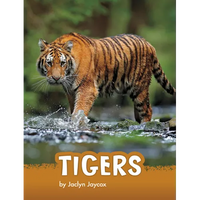 Tigers - Hardcover