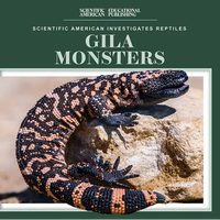 Gila Monsters - Paperback