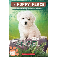 Angel - Hardcover