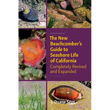 The New Beachcomber's Guide to Seashore Life of California: Completely Revised and Expanded - Paperback