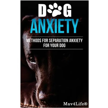 Dog Anxiety?: Methods For Separation Anxiety For Your Dog! - Paperback