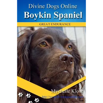 Boykin Spaniels: Divine Dogs Online - Paperback