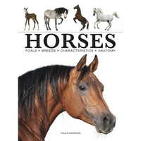 Horses - Paperback