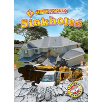 Sinkholes - Library Binding