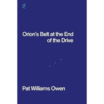 Orion's Belt at the End of the Drive - Paperback