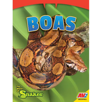 Boas - Paperback