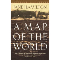 A Map of the World - Paperback
