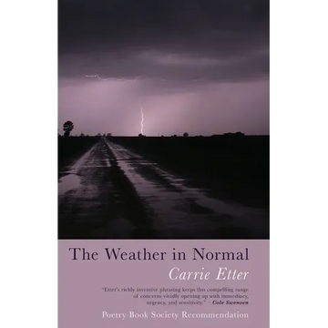 The Weather in Normal - Paperback