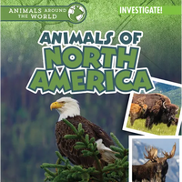 Animals of North America - Paperback