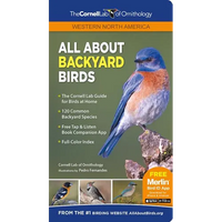 All about Backyard Birds- Western North America - Paperback