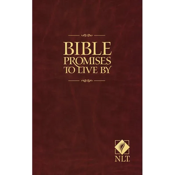 Bible Promises to Live by - Paperback