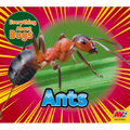 Ants